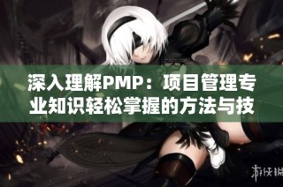 深入理解PMP：项目管理专业知识轻松掌握的方法与技巧