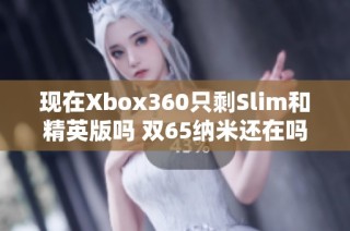 现在Xbox360只剩Slim和精英版吗 双65纳米还在吗