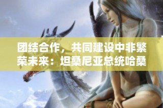 团结合作，共同建设中非繁荣未来：坦桑尼亚总统哈桑的呼吁