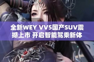 全新WEY VV5国产SUV震撼上市 开启智能驾乘新体验