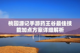 桃园源记手游药王谷最佳技能加点方案详细解析