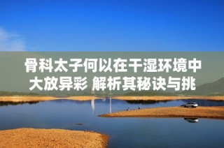 骨科太子何以在干湿环境中大放异彩 解析其秘诀与挑战