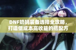 DNF奶妈装备选择全攻略，打造低成本高收益的搭配方案