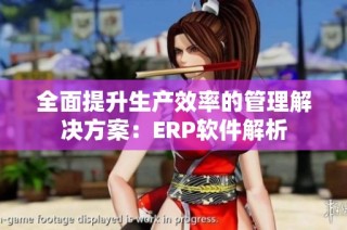 全面提升生产效率的管理解决方案：ERP软件解析