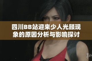 四川BB站迎来少人光顾现象的原因分析与影响探讨