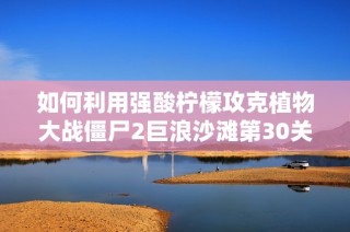 如何利用强酸柠檬攻克植物大战僵尸2巨浪沙滩第30关技巧解析