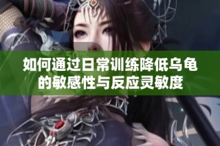 如何通过日常训练降低乌龟的敏感性与反应灵敏度