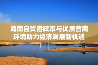 海南自贸港政策与优质营商环境助力经济发展新机遇