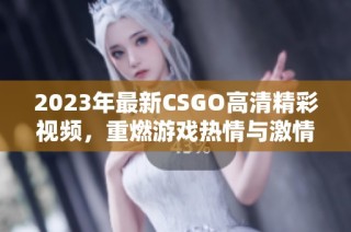 2023年最新CSGO高清精彩视频，重燃游戏热情与激情！