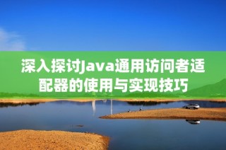 深入探讨Java通用访问者适配器的使用与实现技巧