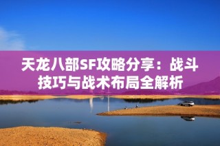 天龙八部SF攻略分享：战斗技巧与战术布局全解析