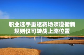 职业选手重返赛场须遵循新规则仅可转战上路位置