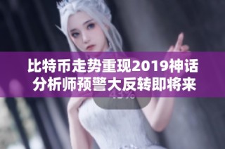 比特币走势重现2019神话 分析师预警大反转即将来临