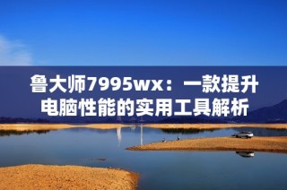 鲁大师7995wx：一款提升电脑性能的实用工具解析