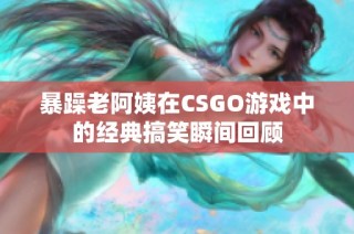 暴躁老阿姨在CSGO游戏中的经典搞笑瞬间回顾