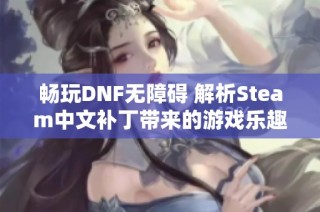 畅玩DNF无障碍 解析Steam中文补丁带来的游戏乐趣