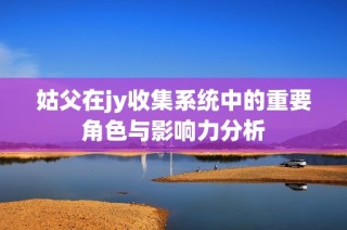 姑父在jy收集系统中的重要角色与影响力分析