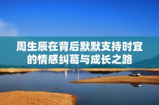 周生辰在背后默默支持时宜的情感纠葛与成长之路