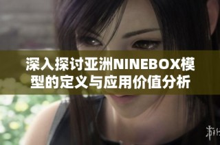 深入探讨亚洲NINEBOX模型的定义与应用价值分析