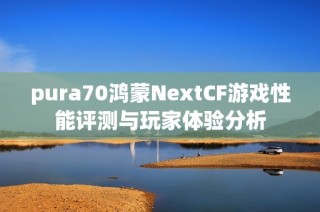 pura70鸿蒙NextCF游戏性能评测与玩家体验分析