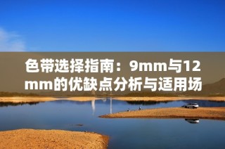 色带选择指南：9mm与12mm的优缺点分析与适用场景