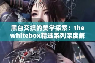 黑白交织的美学探索：thewhitebox精选系列深度解析