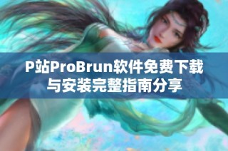 P站ProBrun软件免费下载与安装完整指南分享