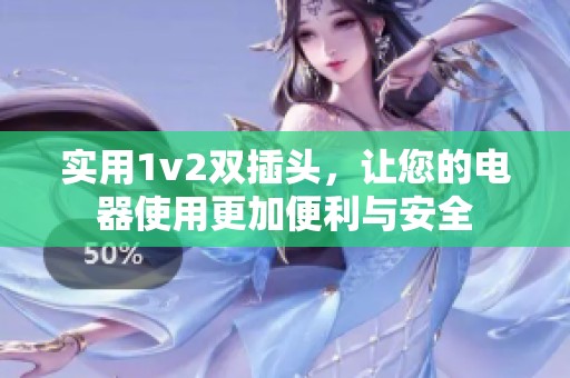 实用1v2双插头，让您的电器使用更加便利与安全