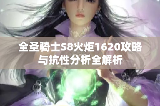 全圣骑士S8火炬1620攻略与抗性分析全解析