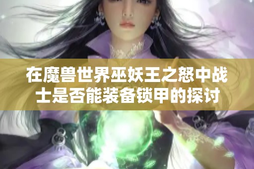 在魔兽世界巫妖王之怒中战士是否能装备锁甲的探讨