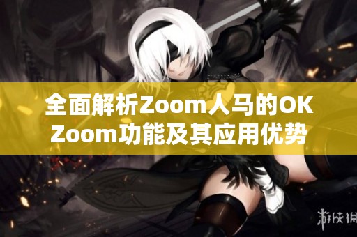 全面解析Zoom人马的OKZoom功能及其应用优势