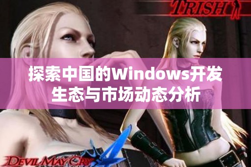 探索中国的Windows开发生态与市场动态分析