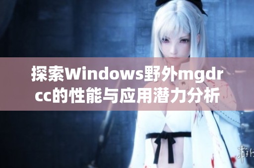 探索Windows野外mgdrcc的性能与应用潜力分析