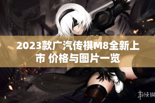 2023款广汽传祺M8全新上市 价格与图片一览