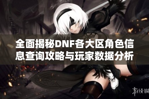 全面揭秘DNF各大区角色信息查询攻略与玩家数据分析