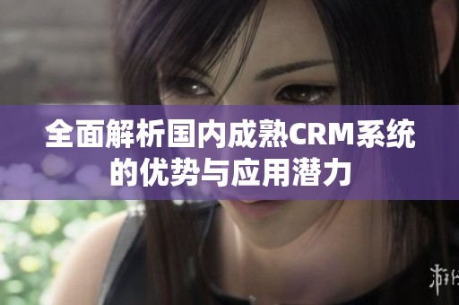 全面解析国内成熟CRM系统的优势与应用潜力