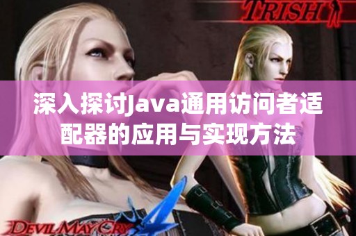 深入探讨Java通用访问者适配器的应用与实现方法