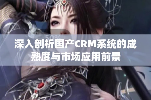 深入剖析国产CRM系统的成熟度与市场应用前景