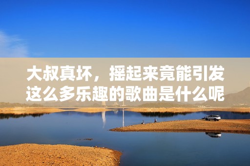 大叔真坏，摇起来竟能引发这么多乐趣的歌曲是什么呢